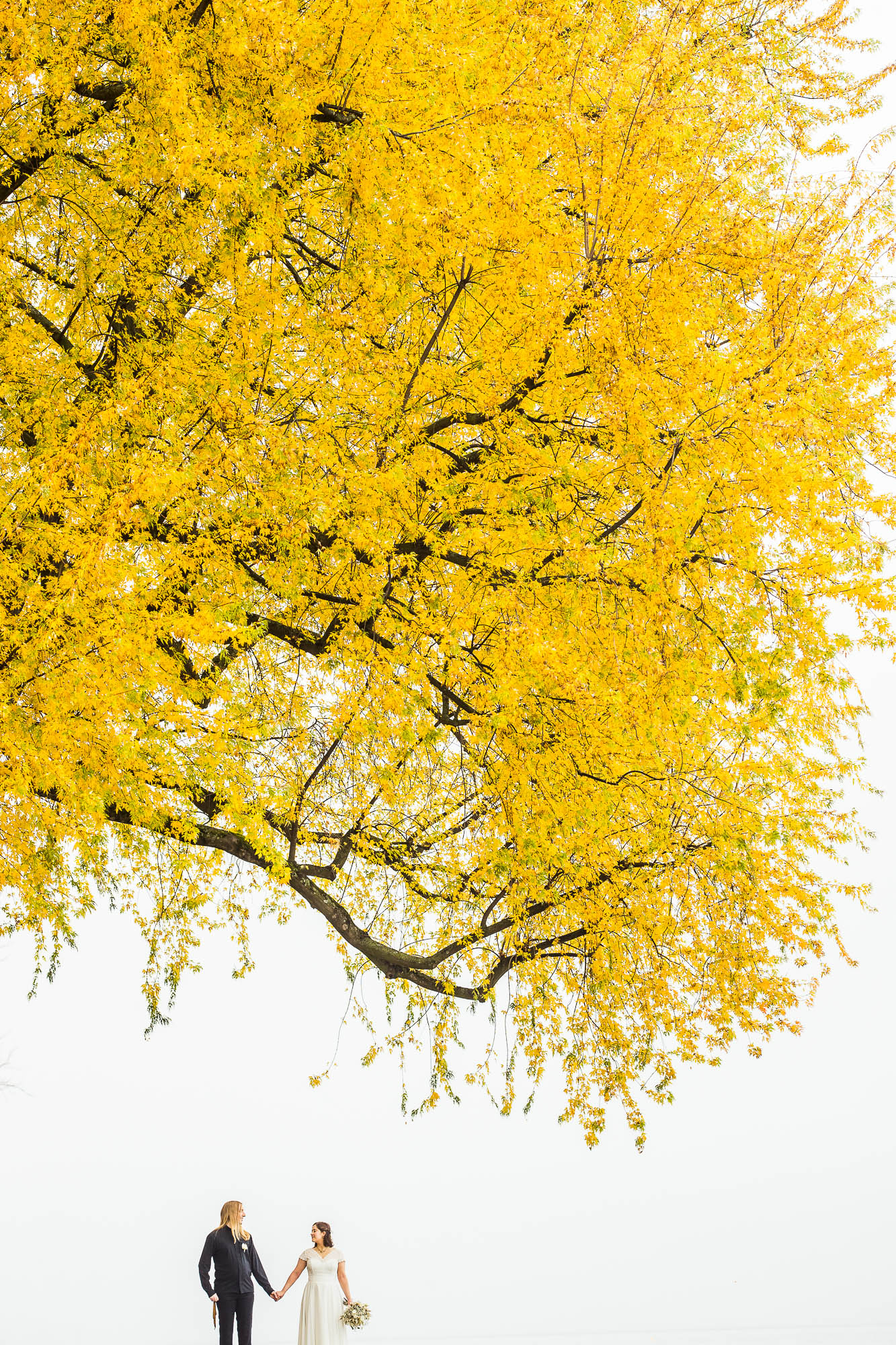 Export x3 1DX29356 Hochzeit 2020 Monika & Sharru 2